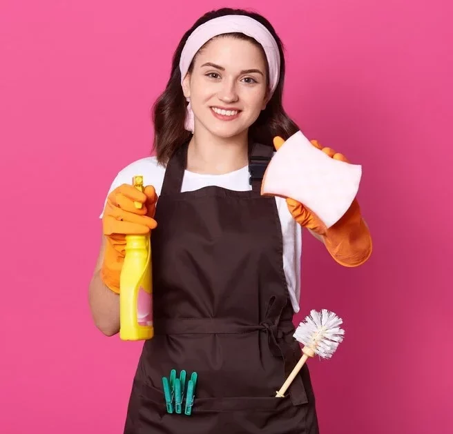 Top 10 Secrets Of Professional Cleaners Vv Maids 0289